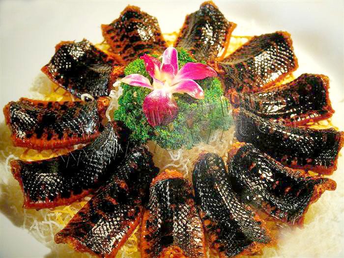 黑龙江一女子与蛇同居15年，家中大蛇就有20条，蛇不会攻击她吗？