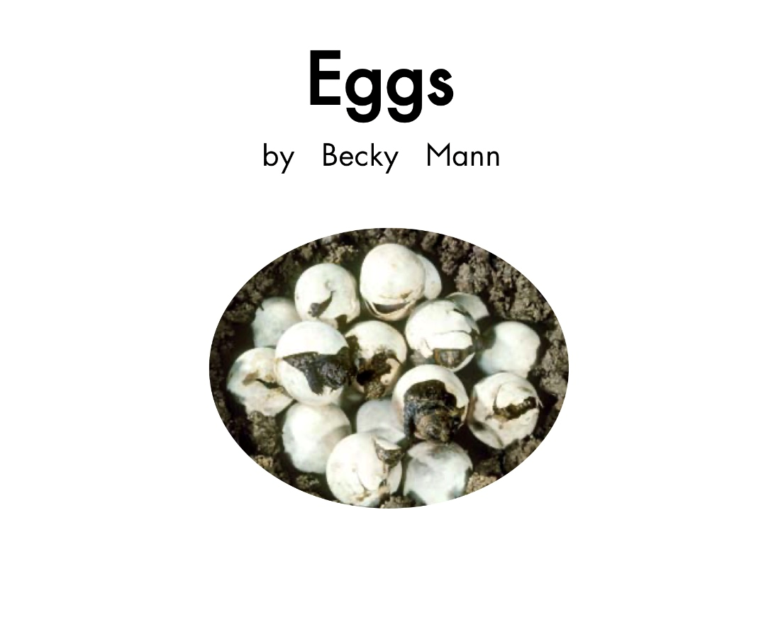 英语有声绘本阅读：《Eggs》小蛇宝宝的诞生