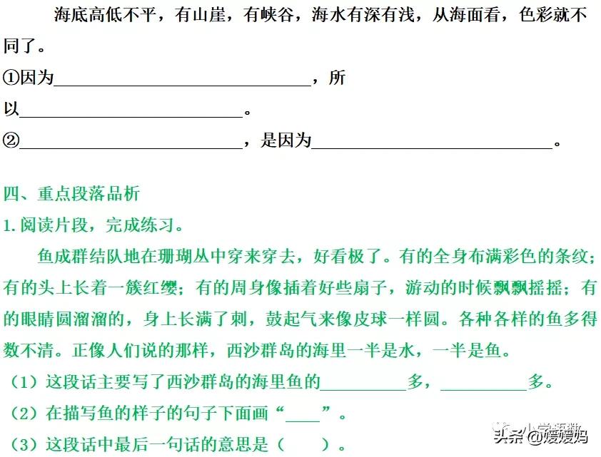 部编版三年级上册语文第18课《富饶的西沙群岛》课件及同步练习