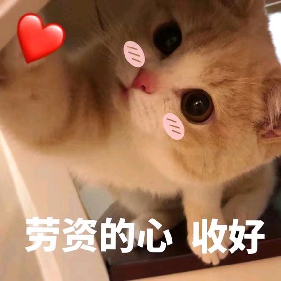 猫咪表情包｜劳资的心，收好