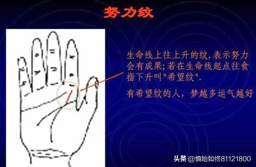 通用的简易手相算命图解——掌握自己的命运密码。