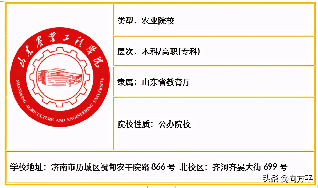 山东省内原来有48所高校招生美术类考生，总有一所大学适合你