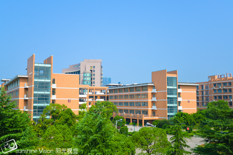 浙江理工大学VS天津工业大学艺术类专业，冠军的帽子戴给谁？