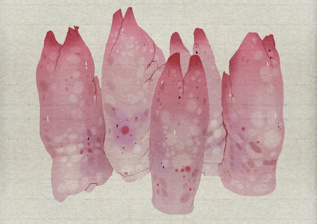 南京师范大学美术学院动画系毕业展——插画类作品展示