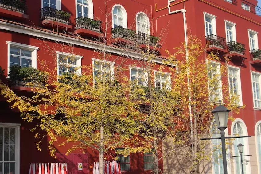 上海华东师范大学附属双语学校：升学率达100%，多为世界名校