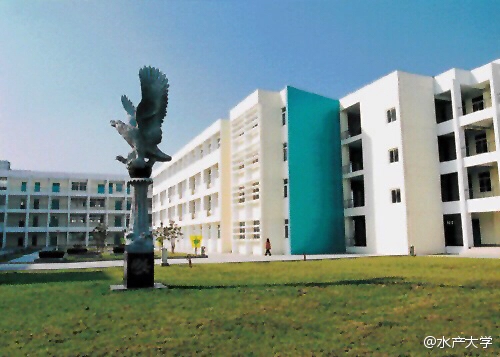 为什么很多人会觉得南汇（惠南）大学城衰落的很严重