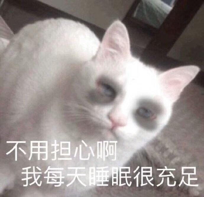 猫咪表情包合集｜老子可爱吗？