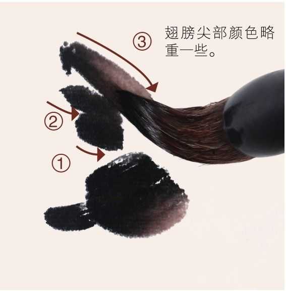 蜻蜓蝴蝶不会画？那是你没有学会这几点，简单易学的国画，快收藏