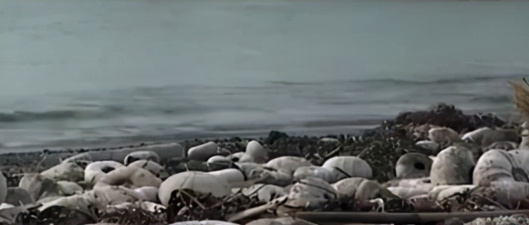 6名中国公民遇难，我大使馆通报【三分钟法治新闻全知道】