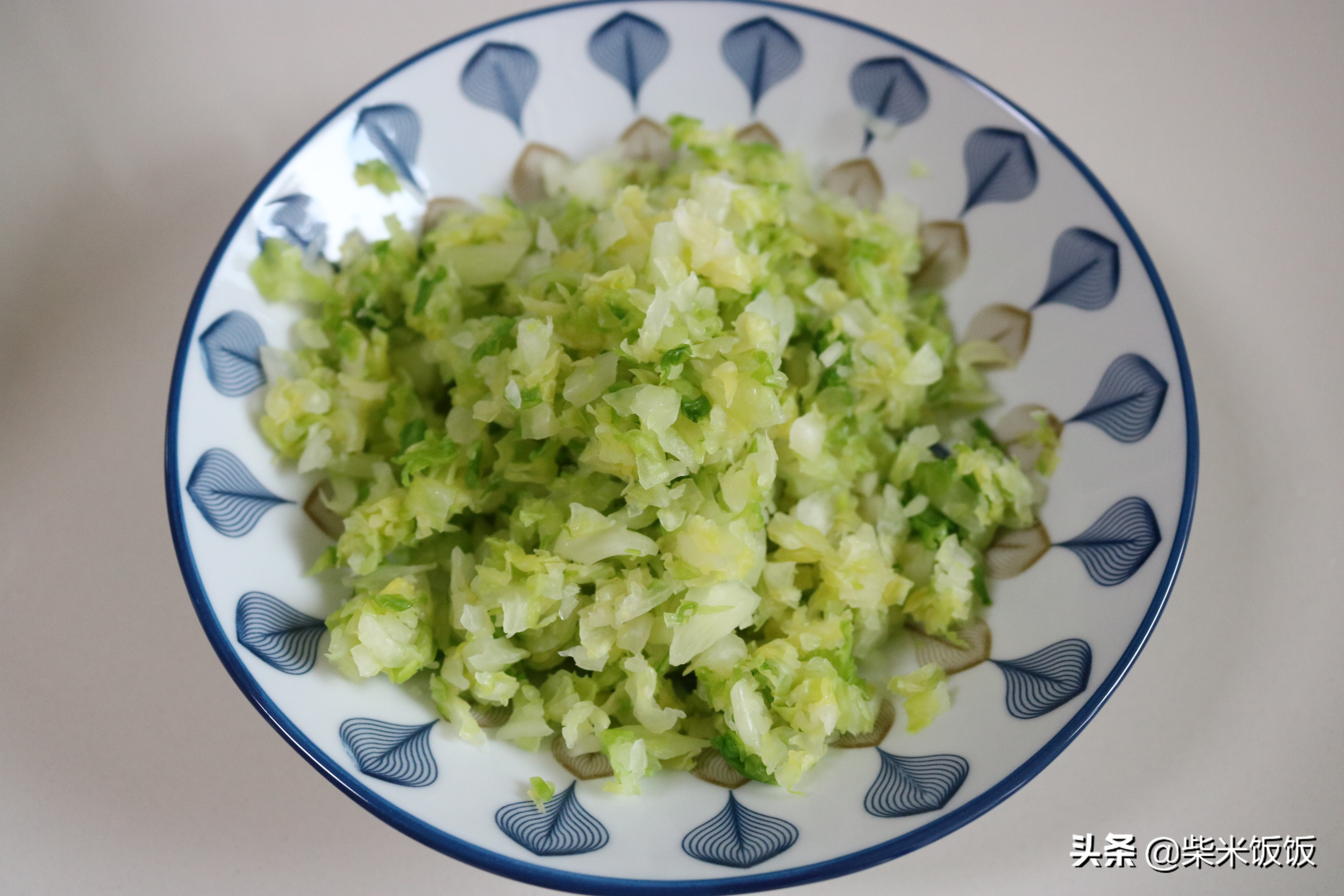 甘蓝馅饺子的做法大全（教你做一口满嘴都是汁的素馅饺子）