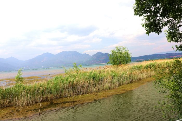 丽江拉市海，骑马走茶马古道，赏鸟走观湖长廊