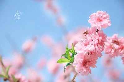 最高级的朋友圈：断舍离