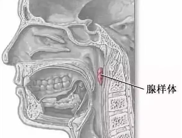 还在以为宝宝打呼噜是遗传吗？出现以下这几点要注意了