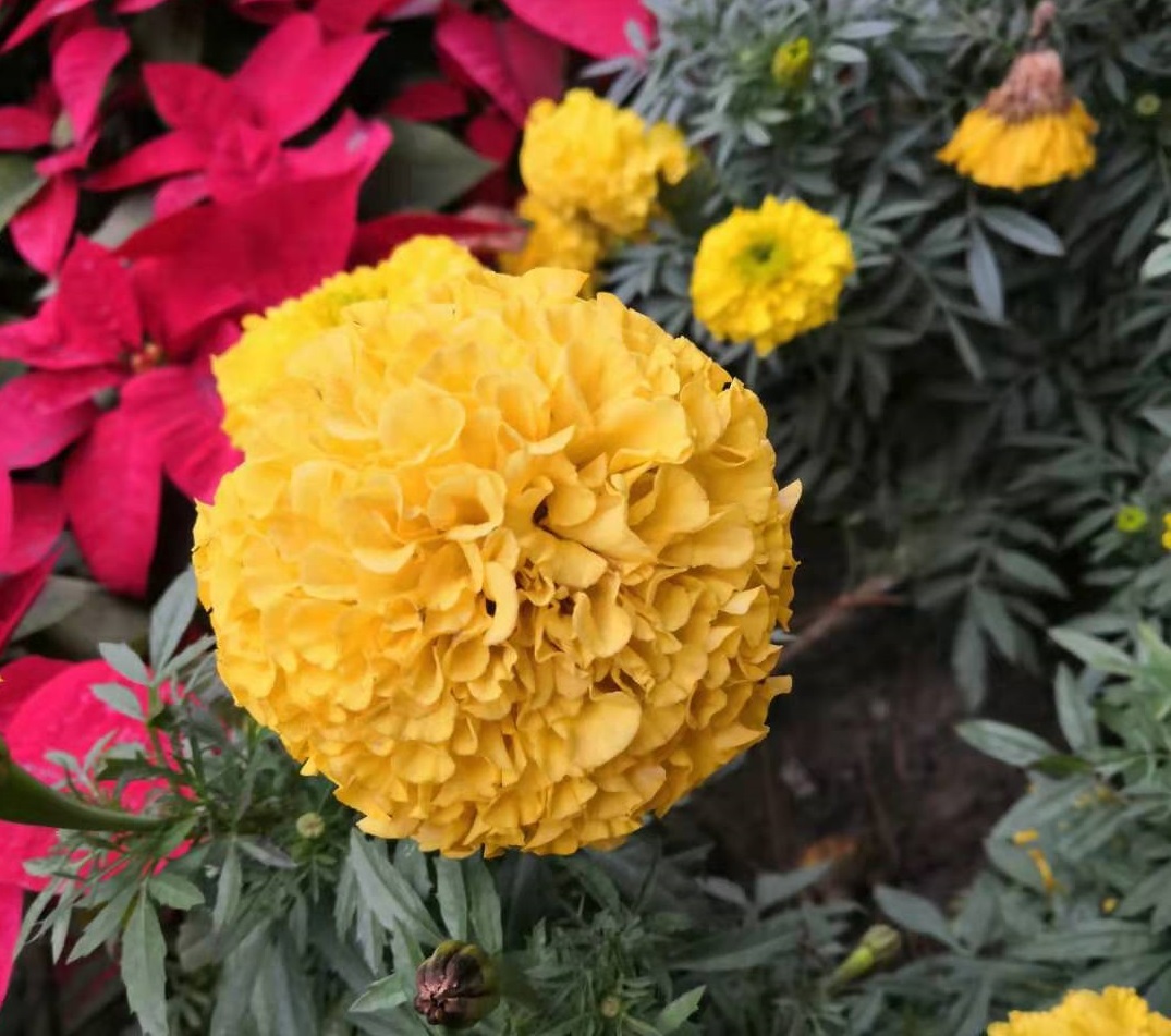 等你考上研究生之后，奖助学金会有多少呢？