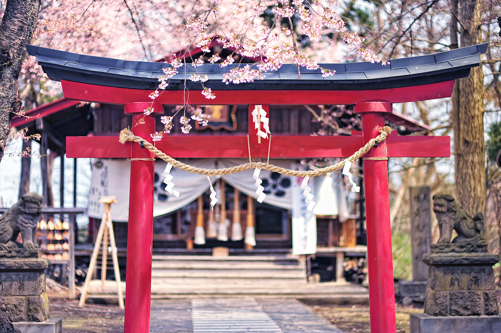 这6所高校，不但颜值高，而且离海边非常近