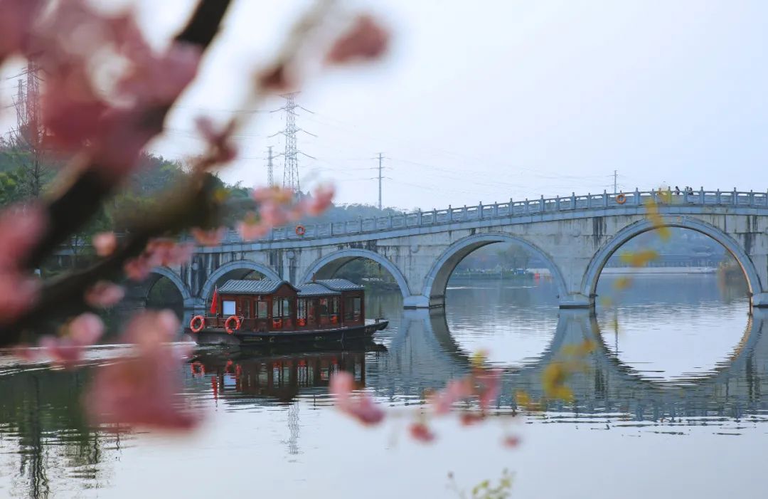 清明节去哪玩？重庆这些地方值得去踏青