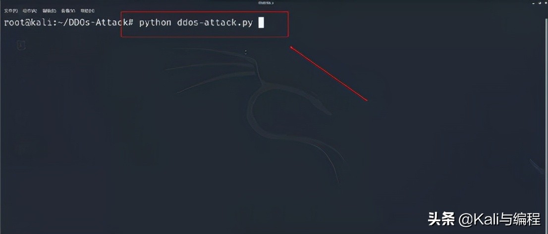 网络安全工程师演示：白帽黑客如何使用Kali Linux进行DDOS攻击