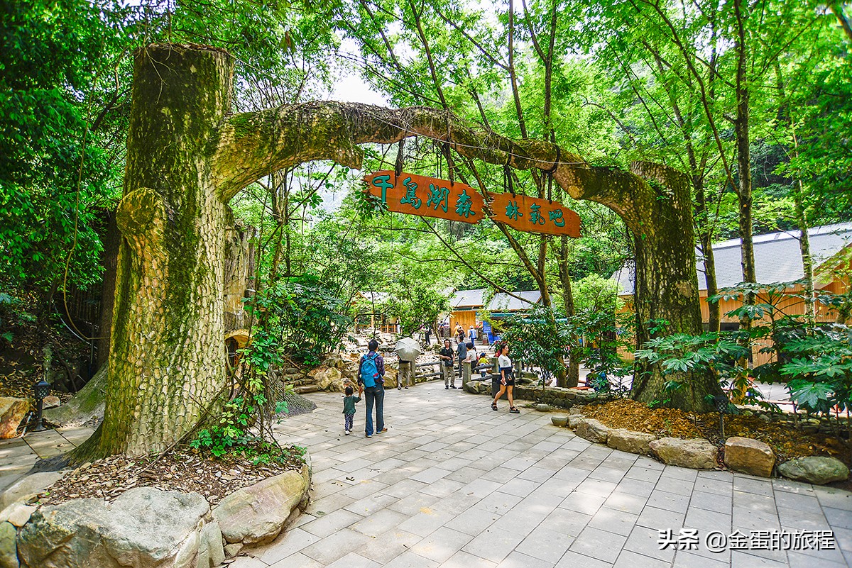 千岛湖在哪里个城市（中国最大的人工湖5A级风景区）