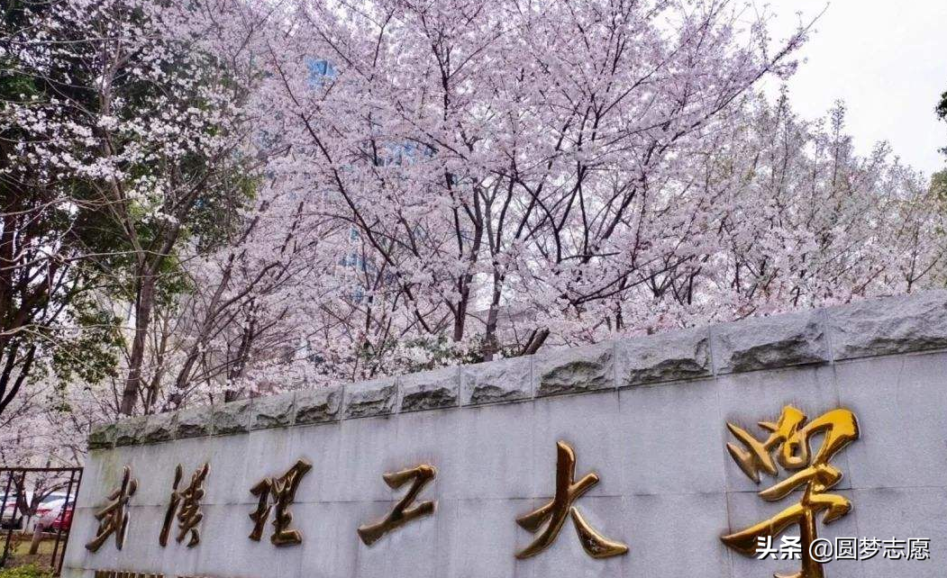 武汉理工大学全国排名2017（被叫做）