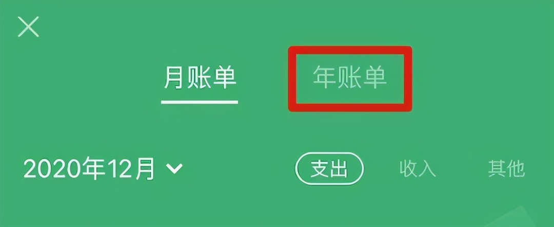 年度账单来了，快看看你今年花了多少钱