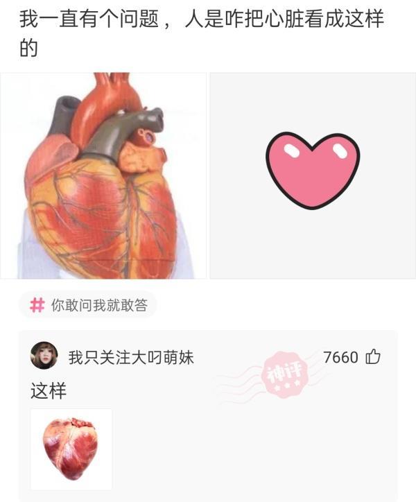 「神回复」：为什么有些牙医不推荐使用电动牙刷？
