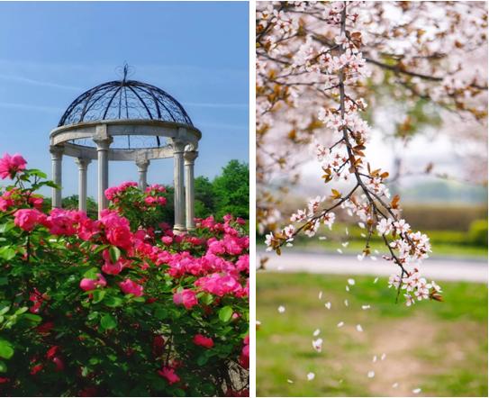 揭秘！这，就是东南大学的9大