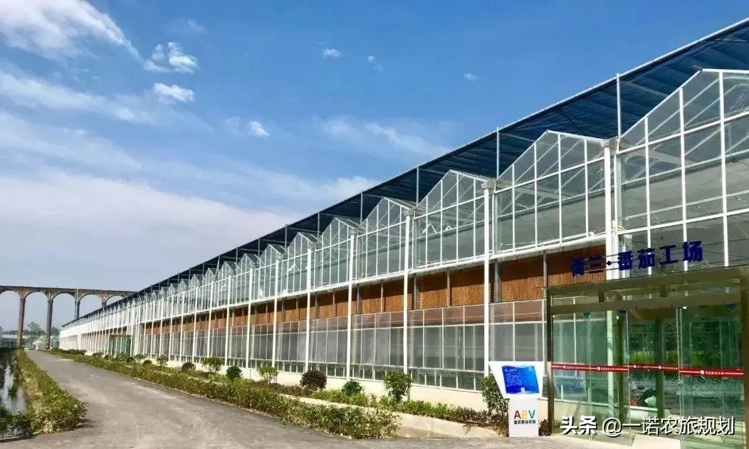 农业科技创新，乡村振兴战略的重要抓手