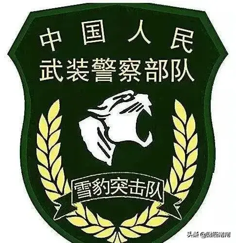 中国十大特种部队排名