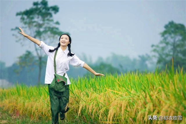 曹雪芹的理想国：一畦春韭绿，十里稻花香