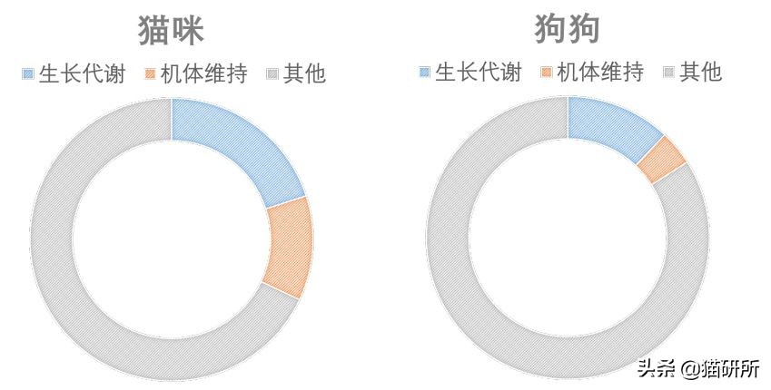 辟谣 猫咪要吃素 这3点决定猫是纯肉食动物猫咪的牙齿猫咪的能量供给猫咪必须从肉中摄取的营养素 天天看点