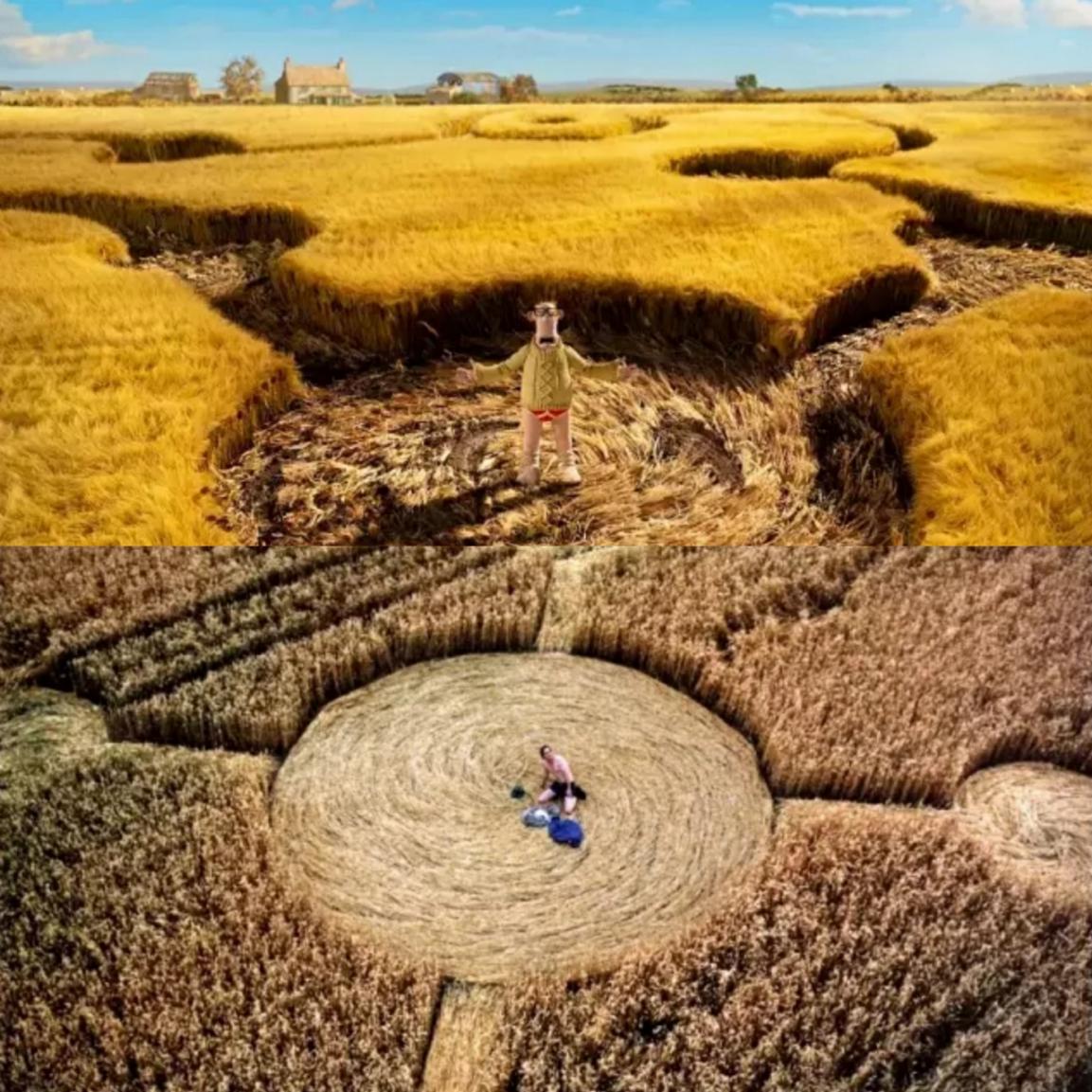 《小羊肖恩2：末日农场》：最萌致敬！属于小羊肖恩的"科幻大片"