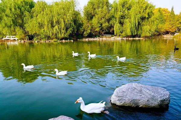 占地5700余亩，走出院士、奥运冠军等94万人才，10个理由让你爱上河南这所高校