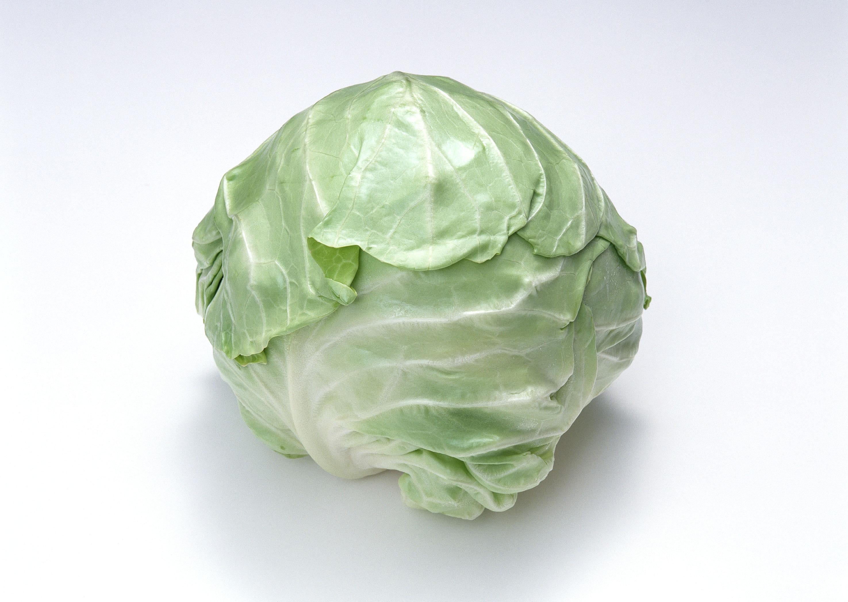 腐竹的热量是多少(一文了解腐竹的真实热量)-易创项目