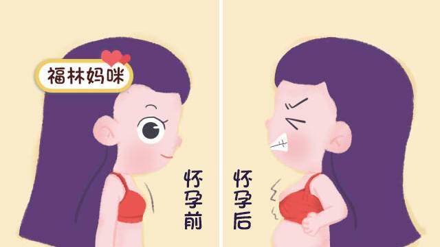 怀孕前后乳房的变化图片