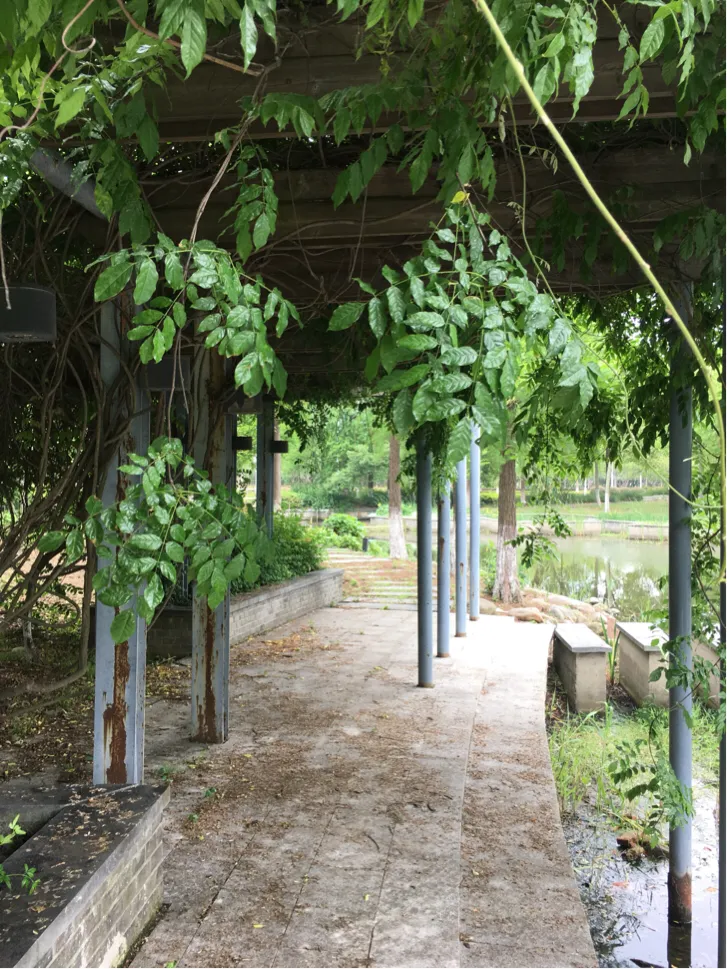 颜值这么高，是哪所高校呢？苏州大学独墅湖校区正在越变越美