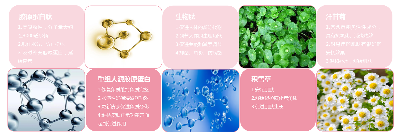姬时代私护凝胶效果怎么样？有哪些有用的成分？