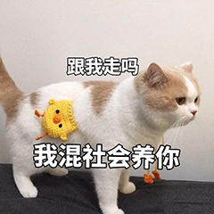 微信也能帮我们压缩文件？！这么好用的方法我只告诉你，不亏
