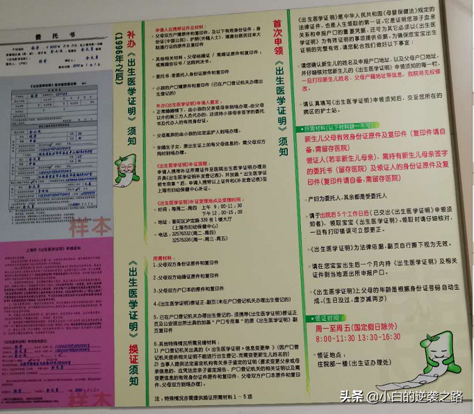 在上海如何领取《出生医学证明》