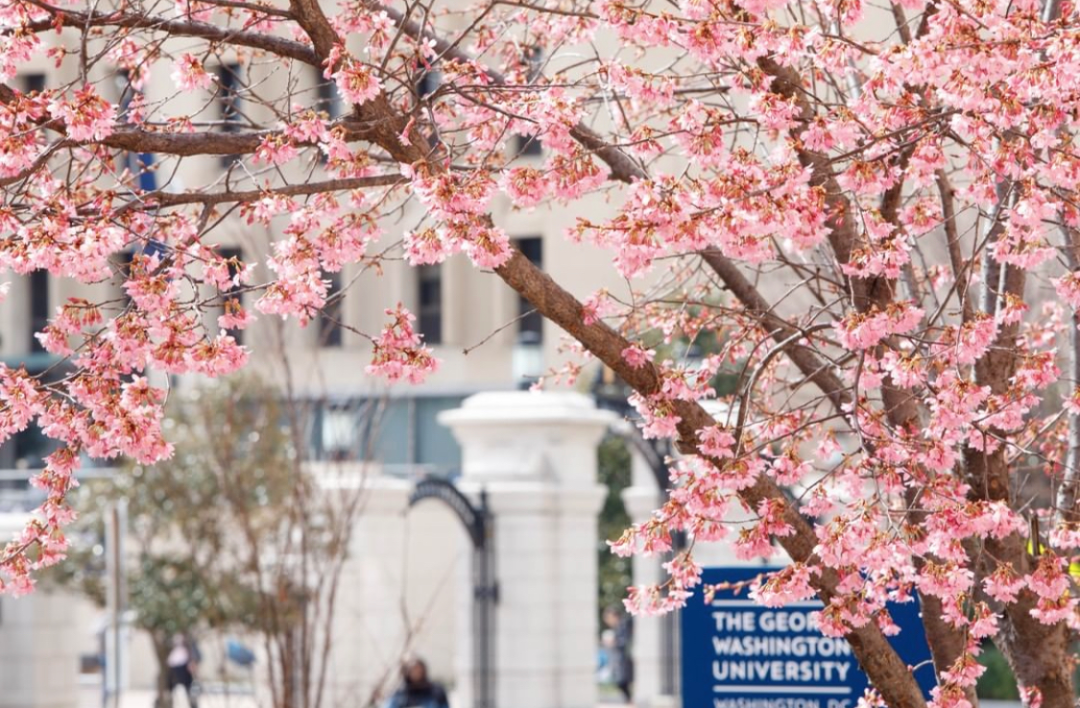 这所美国大学200岁！以国父命名，深处美国心脏，排名被低估