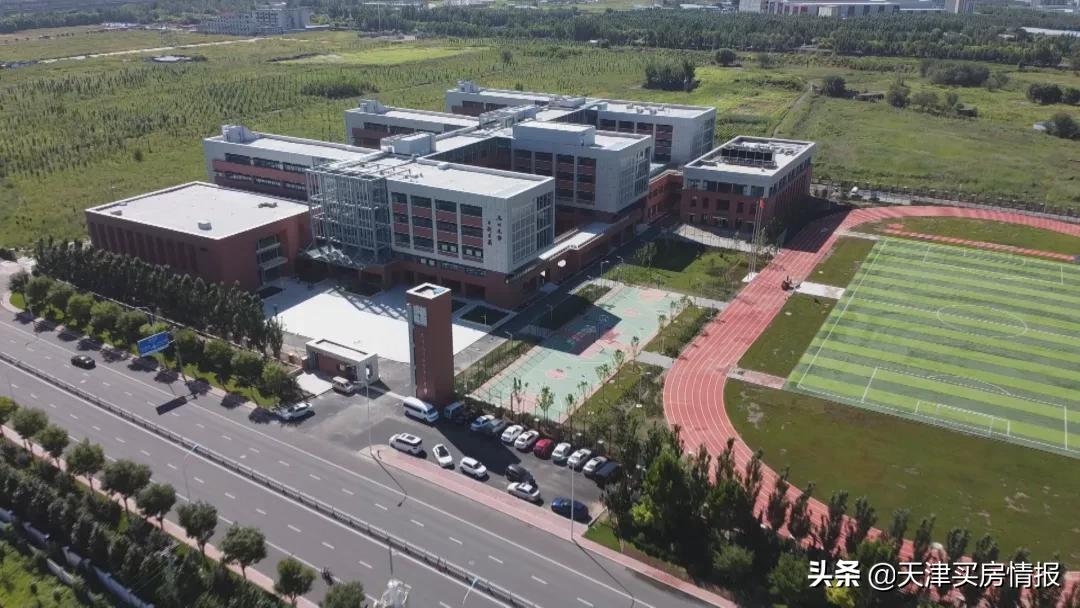 西青教育抖起来了？14个最新落地品牌学校大盘点