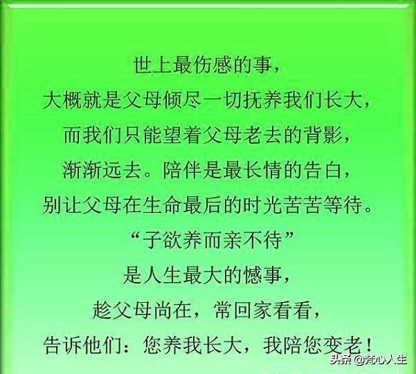 包容父母，就是最好的孝顺，行孝行善，传递正能量！