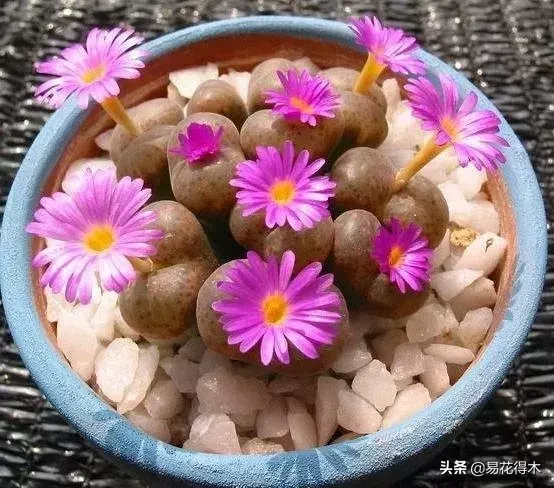 Ƽȴ˵ķӿֲڵ