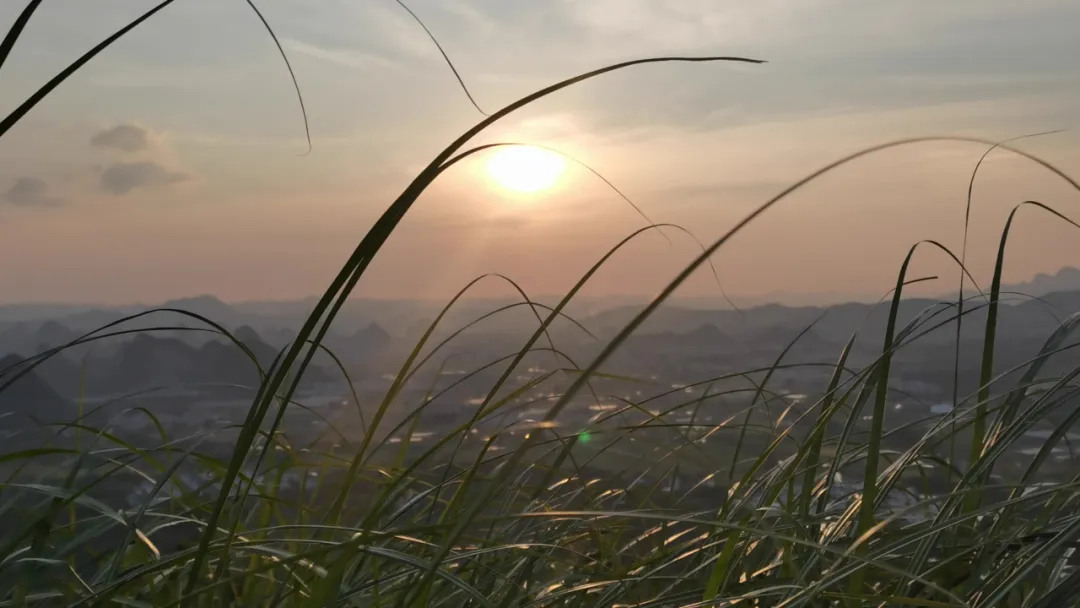 滑翔伞初体验｜等风来，御风而行，最极致的放松和自由，你敢来吗