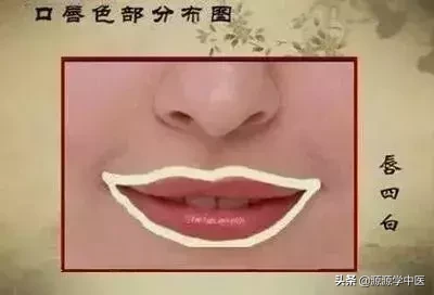 口腔上颚起泡的6种早期症状及处理方法