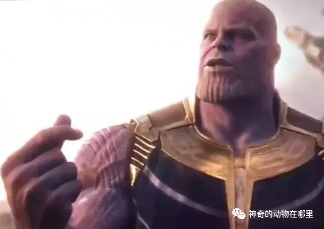 「骗了你很久的伪常识」——教你打响指（简单易懂，包教包会）