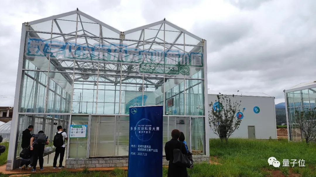 没想到,拼多多竟然想用AI种草莓给我吃