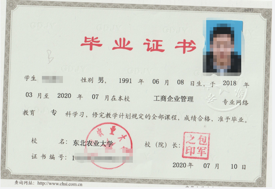 网络教育和成人高考的区别有哪些，哪个更好