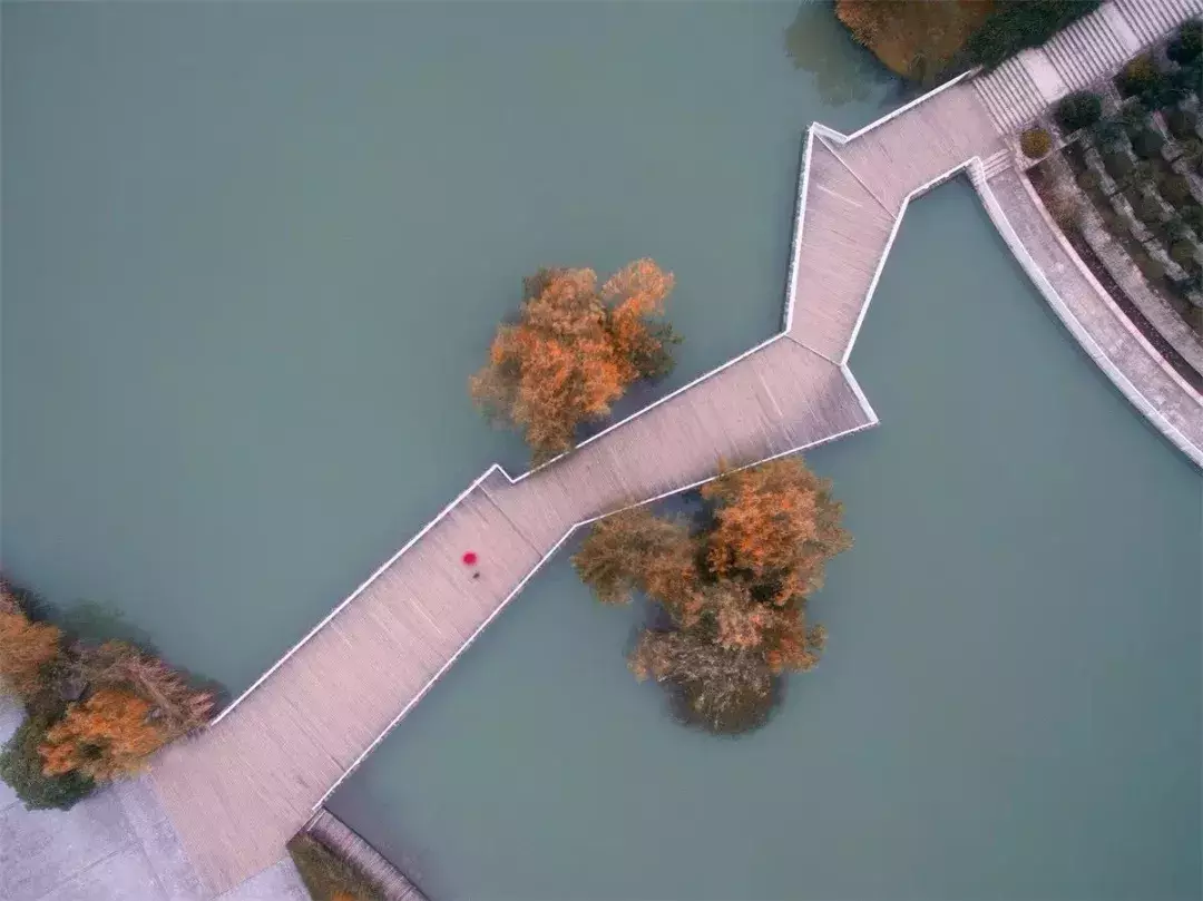 【热点】六月，你毕业于江北新区