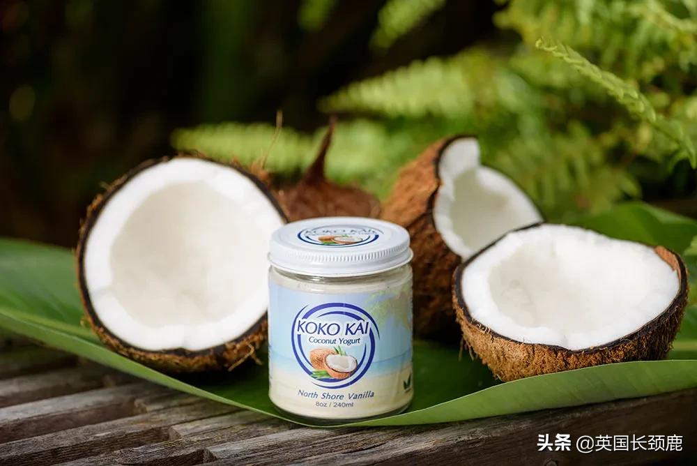 英国最好吃酸奶推荐-英国最好吃酸奶推荐英语 - 114知识网