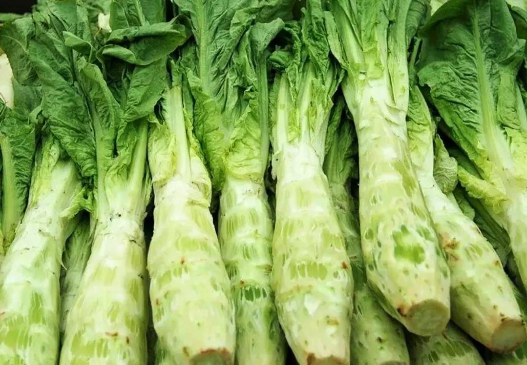 莴苣和莴笋有什么区别?恐怕吃了这么多年,你不一定分得清楚